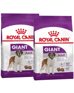 Сухой корм для взрослых собак крупных пород Giant Adult 30 кг Royal canin