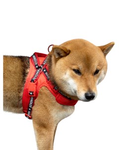 Шлейка для собак L полиэстер сталь красный Japan premium pet