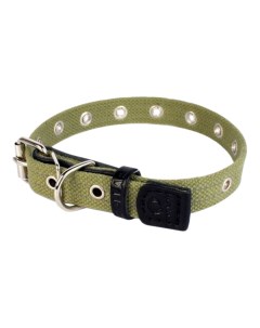 Ошейник для собак брезентовый безразмерный зеленый 63 см x 35 мм Collar