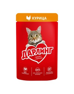 Влажный корм с курицей для кошек 75 г Darling