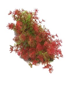 Искусственное аквариумное растение Куст 00113052 10х5х18 см Ripoma