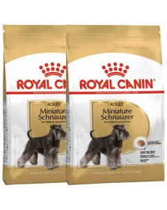 Сухой корм для взрослых собак породы миниатюрный шнауцер 2 шт по 3 кг Royal canin