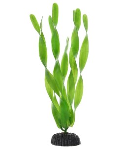 Искусственное растение для аквариума Plant 005 20 Валиснерия широколистная 200 мм Barbus