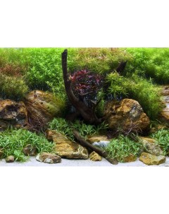 Фон для аквариума Водный сад Яркие камни пластик 62x30 см Barbus