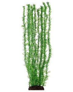 Искусственное растение для аквариума Лигодиум 50 см пластик Laguna