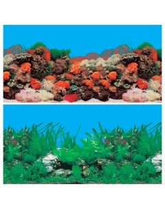 Фон для аквариума Риф пресноводный ламинированная бумага 1500x50 см Laguna
