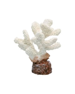 Коралл для аквариума белый 10 2х7 2х12 см Vitality