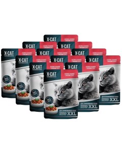 Влажный корм для кошек Super Premium Nutrition XXL ягненок с овощами 12шт по 85г X-cat