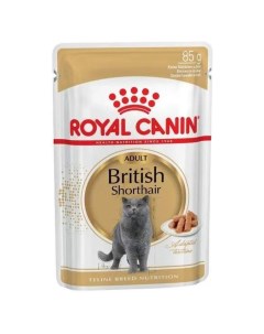 Влажный корм для кошек British Shorthair Adult с мясом рыбой и злаками 85 г Royal canin