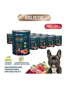 Консервы для взрослых собак Holistic Телятина с зеленой фасолью 20 шт по 350 г Зоогурман