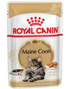 Влажный корм для кошек Maine Coon Adult мясо в соусе 12шт по 85г Royal canin