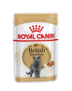 Влажный корм для кошек British Shorthair мясо 12шт по 85г Royal canin