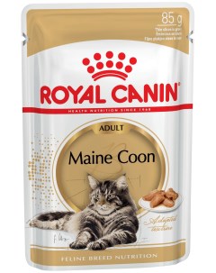 Влажный корм для кошек Maine Coon Adult мясо 85г Royal canin