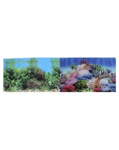 Фон для аквариума Коралловый рай Подводный пейзаж винил 100x50 см Prime
