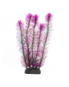 Растение для аквариума Перистолистник фиолетовый 100 мм Laguna