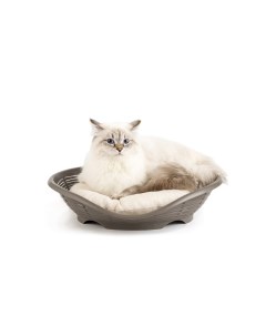 Лежанка для кошки собаки пластик с подушкой 46x48x11см коричневый Bama pet