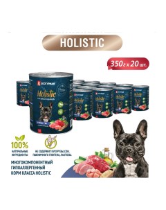 Консервы для взрослых собак Holistic ягненок с рисом и овощами 20 шт по 350 г Зоогурман