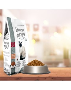 Сухой корм для кошек Adult Sensitive Skin с чувствительной кожей лосось 1 5 кг Benefit
