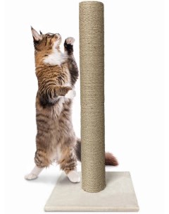 Когтеточка столбик для кошек Зверьё Моё Столбик высокий 6 50х40х113 см джут Зверье мое