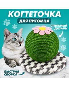 Напольная когтеточка Кактус для кошки когтедралка для кота антистресс 15 18 см Solmax