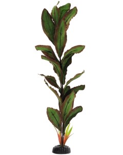 Искусственное растение для аквариума Криптокорина Бекетти Plant 040 50 см шелк Barbus