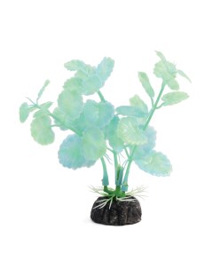 Искусственное растение для аквариума щитолистник зеленый 10 см пластик керамика Laguna