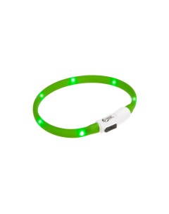 Светящийся ошейник для собак с USB зарядкой 50см зеленый Nobrand