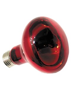 Инфракрасная лампа для террариума Repti Infrared 100 Вт Repti zoo