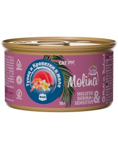 Консервы для кошек Holistic креветки тунец 70г Molina