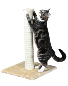 Когтеточка для кошек Parla размер 40х40х60 см бежевый Trixie