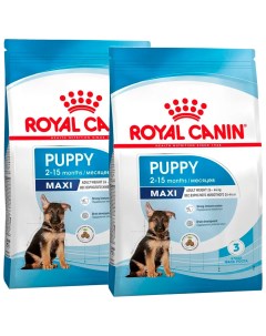 Сухой корм для щенков Maxi Puppy для крупных пород 2шт по 15кг Royal canin
