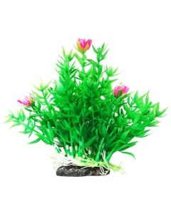Растение аквариумное Гемиантус с розовыми цветами Уют