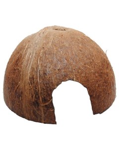 Домик для грызуна кокос 7 5х11х11см цвет коричневый Homepet
