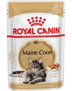 Влажный корм для кошек Maine Coon Adult с мясом и рыбой 12шт по 85г Royal canin
