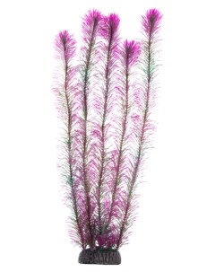 Искусственное растение для аквариума Перистолистник фиолетовый 500 мм Laguna aqua