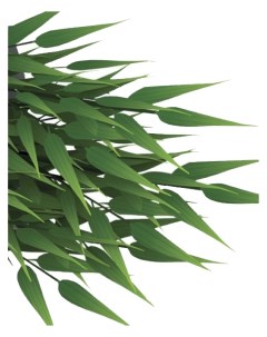 Искусственное растение для террариума Гигантский бамбук пластик Tetra