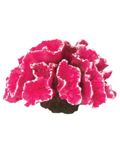 Коралл искусственный для аквариума Кауластрея розовая 70x50x45 мм Laguna aqua