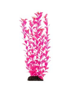 Растение для аквариума Людвигия ярко розовая 200 мм Laguna