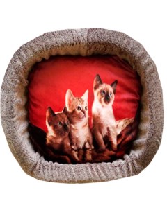 Лежак для кошек дизайн 3 принт 2 овальный 44 х 33 х 16 см Perseiline