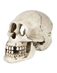 Грот для аквариума Skull Череп полиэфирная смола 16 2х9 8х11 8 см Trixie