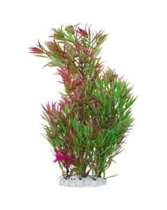 Растение аквариумное Гетерантера зелено фиолетовая 44 см Уют