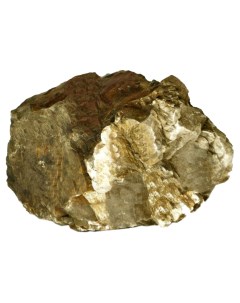 Камень для аквариума и террариума Fossilized Wood Stone S натуральный 5 15 см Udeco