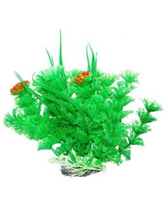 Растение аквариумное Амбулия зеленая с кружевными листьями Уют