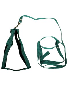 Комплект поводок шлейка капроновый зеленый до 45 см для кошек 45 см Zooexpress