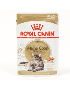Влажный корм для кошек Maine Coon Adult мясо рыба 24шт по 85г Royal canin