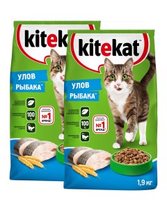 Сухой корм для кошек Улов рыбака 2 шт по 1 9 кг Kitekat