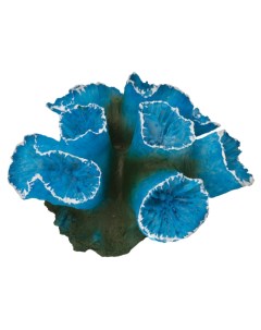 Коралл искусственный для аквариума Кауластрея синяя 90x85x50 мм Laguna aqua