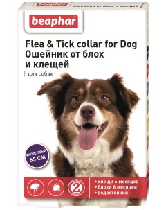Ошейник для собак против блох клещей Flea Tick фиолетовый 65 см Beaphar