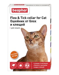 Ошейник для кошек против блох власоедов вшей клещей Flea Tick оранжевый 35 см Beaphar