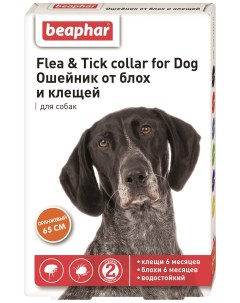 Ошейник для собак против блох клещей Flea Tick оранжевый 65 см Beaphar